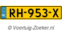 RH953X