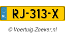 RJ313X