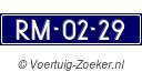 RM0229