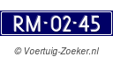 RM0245