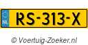 RS313X