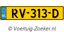 RV313D