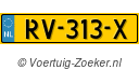 RV313X