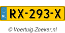 RX293X