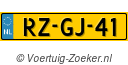 RZGJ41
