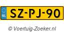 SZPJ90