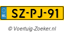 SZPJ91