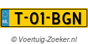 T-01-BGN