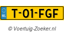 T-01-FGF