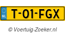T01FGX