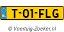 T-01-FLG