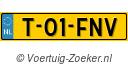 T-01-FNV