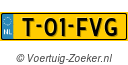 T-01-FVG