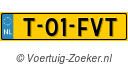 T-01-FVT