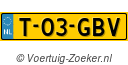 T-03-GBV