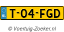 T-04-FGD