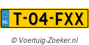 T04FXX