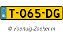 T065DG