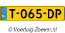T065DP