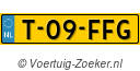 T09FFG