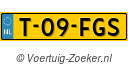T09FGS