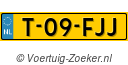 T09FJJ