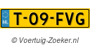 T-09-FVG