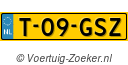T-09-GSZ