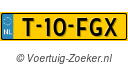T-10-FGX