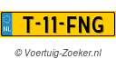 T11FNG