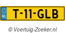 T11GLB