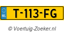 T113FG
