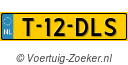 T12DLS