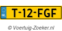 T12FGF