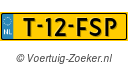 T-12-FSP