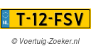 T12FSV