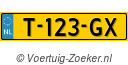T123GX