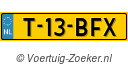 T-13-BFX