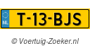 T13BJS