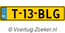 T13BLG