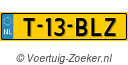 T13BLZ