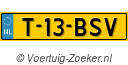 T13BSV