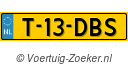 T-13-DBS