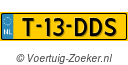 T13DDS