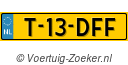 T13DFF