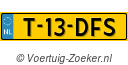 T13DFS
