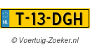 T13DGH