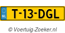 T13DGL