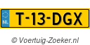 T13DGX