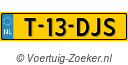 T13DJS